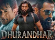 Dhurandhar (2025)